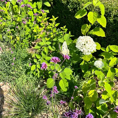 Thereset Schloss * Gross Plasten