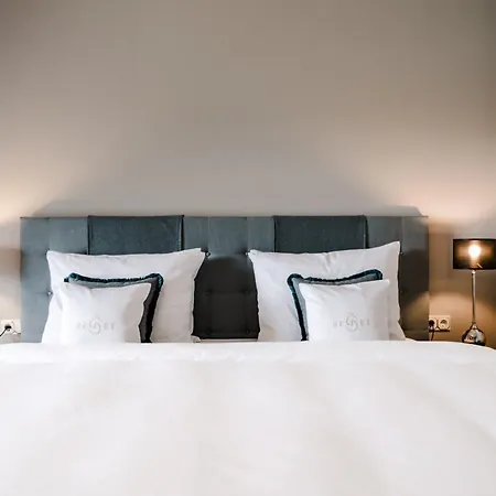 Thereset Schloss Gross Plasten